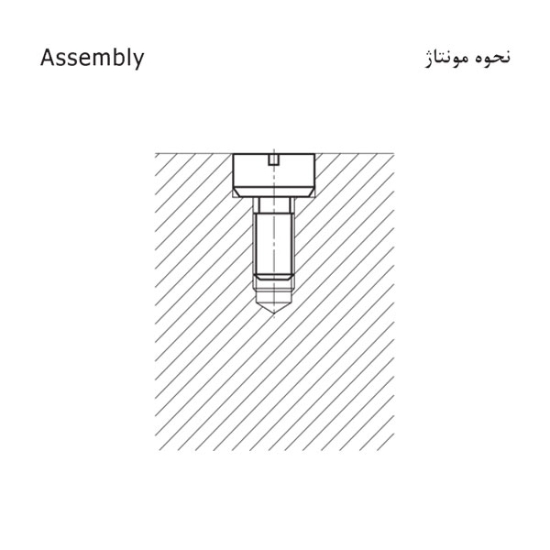 تصویر اینسرت تاریخ زن | D483