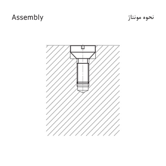 تصویر اینسرت تاریخ زن | D484