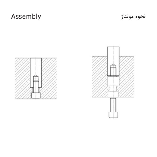 تصویر اینسرت تاریخ زن | D481