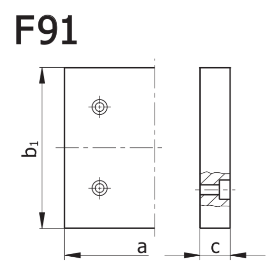 تصویر صفحه | F91 | Plate